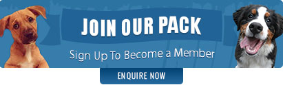 Join-Our-Pack